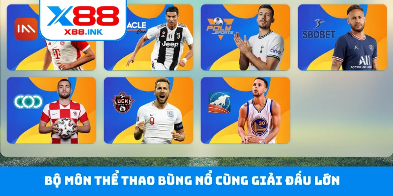 Bộ môn thể thao bùng nổ cùng giải đấu lớn